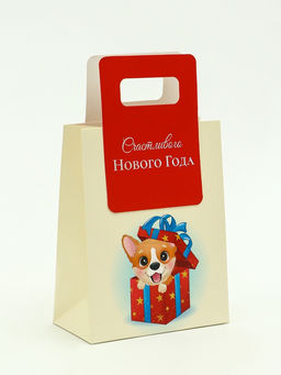 Цена за 2 шт. Пакет подарочный с вырубной ручкой «Лучший подарок»18×23×9 см, красный