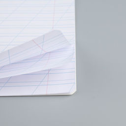 Тетрадь 12 листов в косую линейку Пушистые питомцы, обложка мелованный картон, блок №1, 5 видов МИКС - Artfox study фото 10