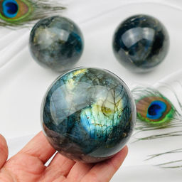 Шар из Лабрадора на подставке