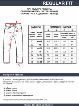 Брюки мужские арт. 0965/L - F5 фото 10