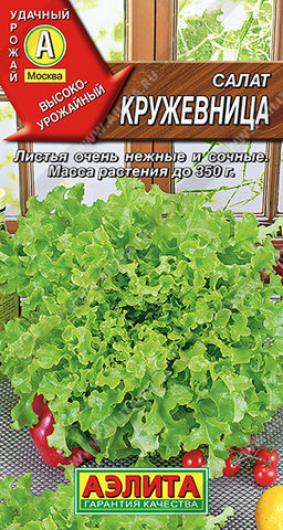 Салат Кружевница листовой