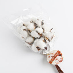 Сухоцвет хлопок «Сливочные облака»