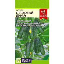 Огурец Пучковый бум 5шт. (Семена Алтая)