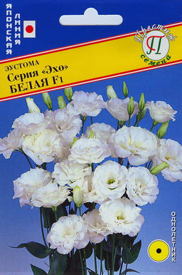 Эустома Эхо Белая F1 10шт. (Япония) (Престиж)