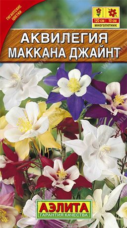 Аквилегия Маккана Джайнт, смесь сортов