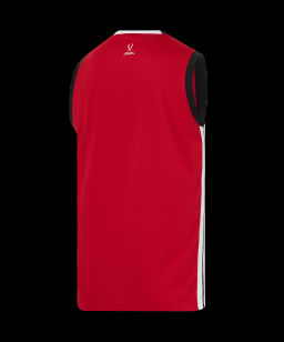 Майка баскетбольная JOGEL DIVISION PerFormDRY Jersey R2, красный  фото 3