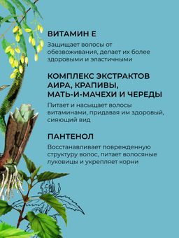 Шампунь "Против перхоти и выпадения волос" с цинком и маслом ним SIBERINA