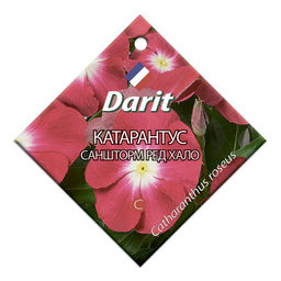 Катарантус Саншторм Ред Хало 10шт. (Дарит)