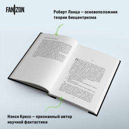 Наблюдатель