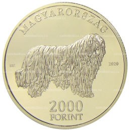 Монета 2000 форинтов 2020 года Венгрия  Венгерские овчарки и породы охотничьих собак  Комондор