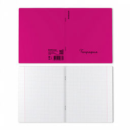 Цена за 6 шт. Тетрадь общая ученическая с пластиковой обложкой на скобе ErichKrause Neon ассорти, География, 48 листов, клетка  фото 5