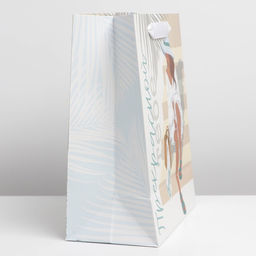 Цена за 2 шт. Пакет подарочный ламинированный, упаковка, Прекрасной тебе, ML 23?27?11.5 см