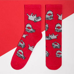 Цена за 2 шт. Носки женские новогодние KAFTAN Мопс размер 36-40 (23-25 см)