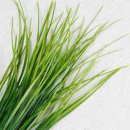 Зелень искусственная Осока 45 см / ZJ3164 /уп 2/400/1500/ - Галеонтрейд фото 7