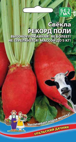 Свёкла кормовая РЕКОРД ПОЛИ  Значительно повышает надои молока! До 5 кг каждый корнеплод! Не болеет! Не стрелкуется! Хорошо хранится!