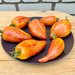 Искушение Новинка: 2025 года