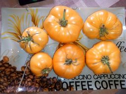 Томат Бизон оранжевый (сер.Вкуснотека) (А) (ЦВ) 10шт - Поиск фото 2