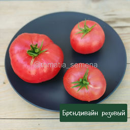 Брендивайн розовый