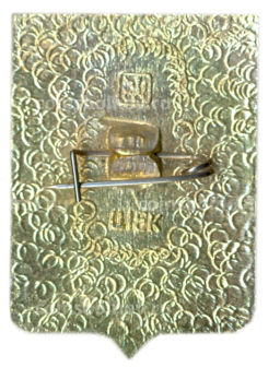 Значок Верхнеднепровск