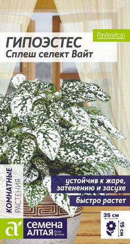 Цветы Гипоэстес Сплеш селект Вайт/Сем Алт/цп 5 шт. многолетник НОВИНКА (2028 / 378)