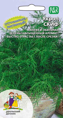 Укроп СКИФ  Густообильнолиственный! Быстро отрастает после срезки на зелень! Аромат густой, повышенное содержание эфирных масел!