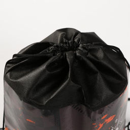 Сумка для обуви Мотоцикл,непромокаемое полотно 43х33х0,5 см - Artfox study фото 4