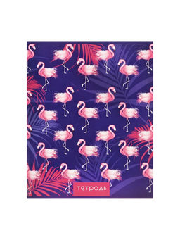 Набор тетрадей, 96 листов в клетку, Calligrata «Фламинго», 4 штук