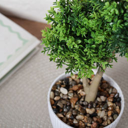 Цветочная композиция Зелень самшит 28 см / 9090-9 /уп 9/72/ - Галеонтрейд фото 10