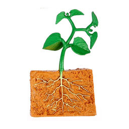 Обучающий набор Этапы развития семечка 4 фигурки - Simaland фото 8