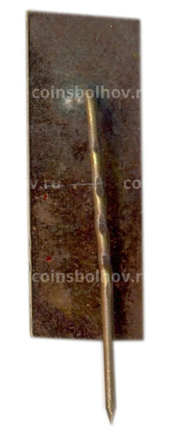 Значок Пирчюпис