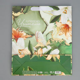 Цена за 2 шт. Пакет подарочный ламинированный, упаковка, «Лучшему учителю», M 30×26×9 см