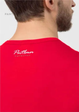 Футболка мужская MF-1087 - Pantelemone фото 4