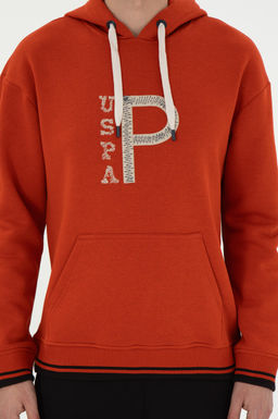 Мужской свитшот с плиткой Неожиданная скидка в корзине - U.s. polo assn фото 6