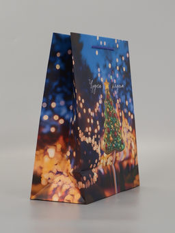 Цена за 2 шт. Пакет подарочный «Чудеса рядом», 26×12×32 см