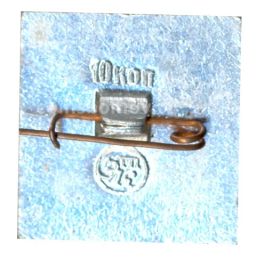 Значок Владимир  Флюгер