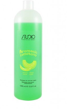 Шампунь для всех типов волос "Банан и дыня", 1000 мл Studio
