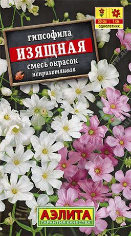Гипсофила изящная, смесь сортов
