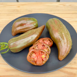 Черный тюльпан НОВИНКА 2025 года!