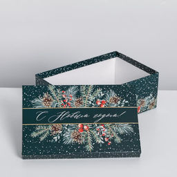 Набор подарочных коробок 5 в 1 «Зима время чудес», 32.5 х 20 х 12.5 - 22 х 14 х 8.5 см, Новый год