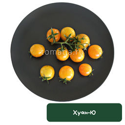 Хуан-Ю - Tomatia фото 2