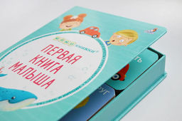 Первая книга малыша. 6 книжек - кубиков - Робинс фото 3