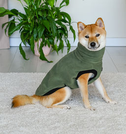 Жилетка флисовая "Moss" на Басенджи, зеленый размер L зп24ос