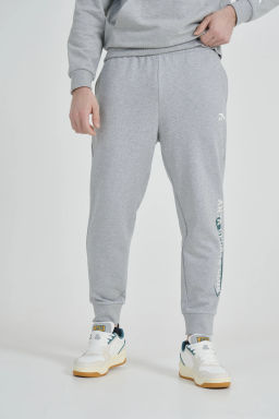 Брюки трикотажные Серый
