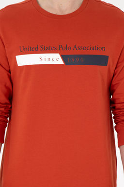 Мужской свитшот с плиткой Неожиданная скидка в корзине - U.s. polo assn фото 20