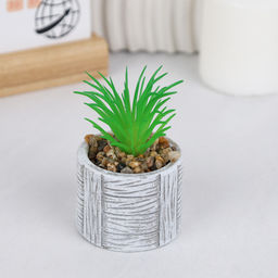 Цветочная композиция Кактус / WER-22 /уп 12/192/ микс - Галеонтрейд фото 4