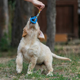 Игрушка Сердечко с канатом, 7 см, голубое - Пижон фото 5