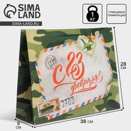 Цена за 2 шт. Пакет подарочный ламинированный, упаковка, «С 23 февраля», L 28×38×9 см