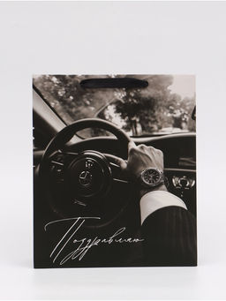 Цена за 2 шт. Пакет подарочный Поздравляю, M 25,5 ? 30 ? 9 см