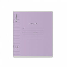 Цена за 160 шт. Тетрадь школьная ученическая ErichKrause Классика Visio ассорти, 24 листа, линейка (в плёнке по 10 шт.) фото 18