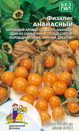 Физалис АНАНАСНЫЙ Чарующий аромат сладкого ананаса! Один из самых раннеспелых сортов! Хорош для изюма, варенья, цукатов!